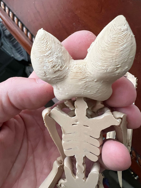 Bat-Head-With-Support