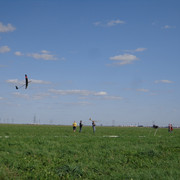 DSC02932