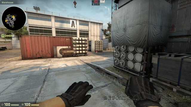 A main plant de cache