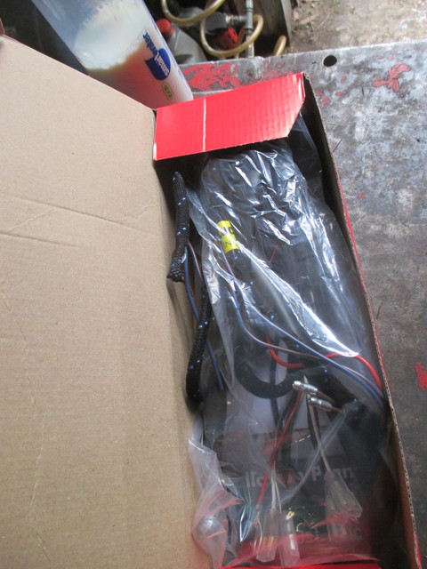 IMG-7725