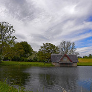 IMGP0518