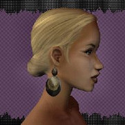 Shell-Earrings