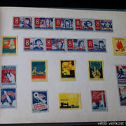 IMG-9629