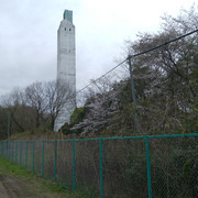 DSC-0081