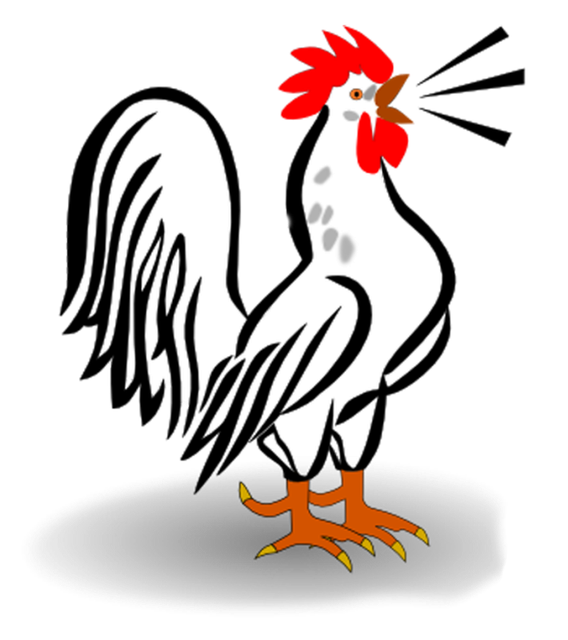 0-eb2e0-76049676-XL