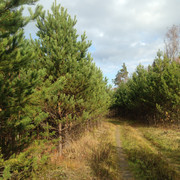 IMG-4448