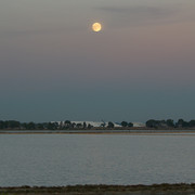 IMG-3363