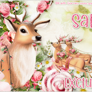 Salsa-Christmas21-Exclusive-Kit