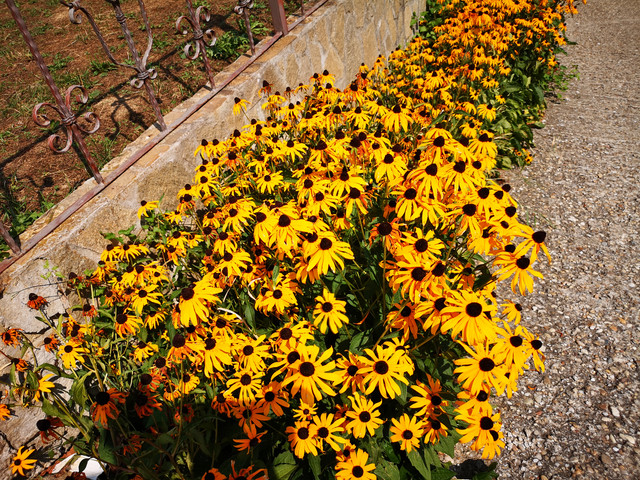 IMG-20230824-120106