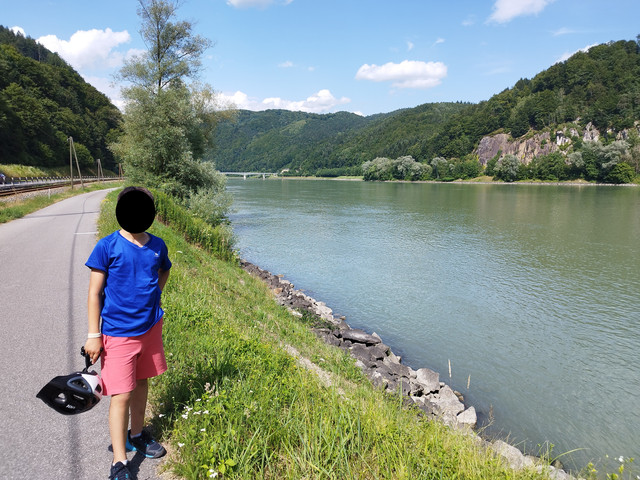 DIA 6. Sankt Pantaleon a Grein. Jueves 6 de julio - Ruta en bici del Danubio- julio 2023 (18)