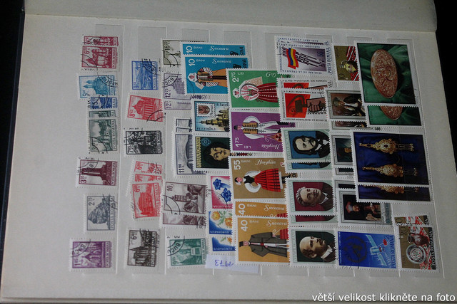 IMG-2557.jpg