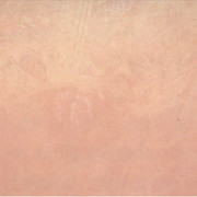 R055-RMP513