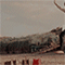 https://i.ibb.co/dfnxPqM/112.gif