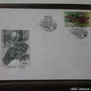 IMG-2717