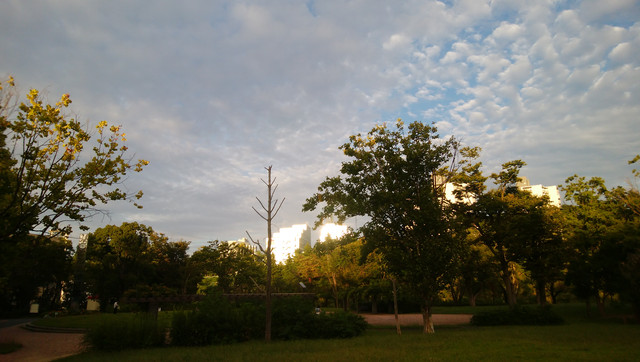 IMG-20221003-163413.jpg