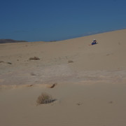 DSCF8549