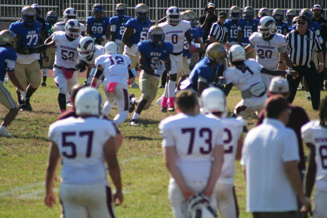 IMG-1191.jpg