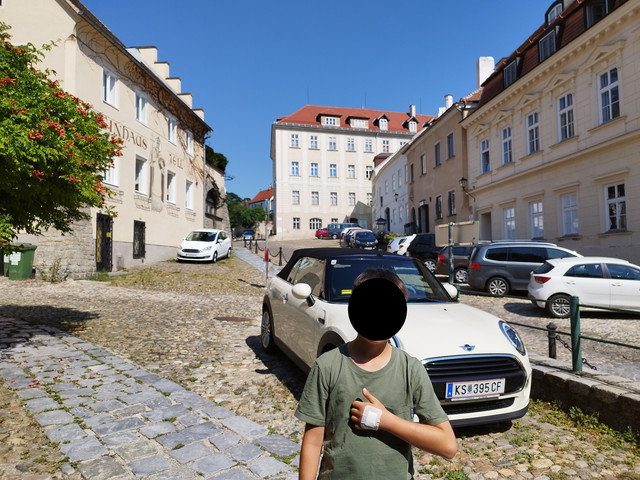 DIA 9. Kremns an der Donau a Viena (tren). Domingo 9 de julio - Ruta en bici del Danubio- julio 2023 (1)