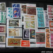 IMG-3025