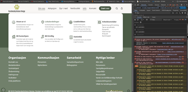 Skjermbilde