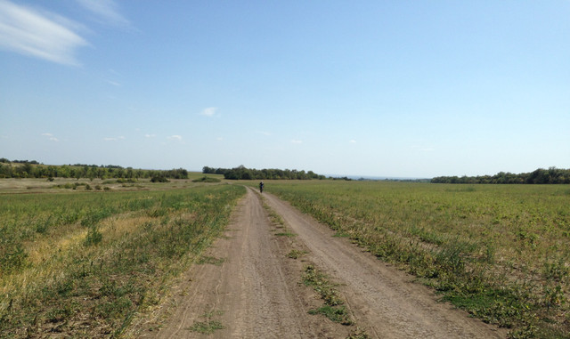 IMG-4182.jpg