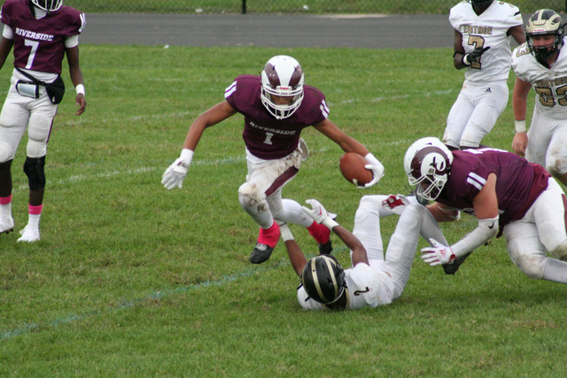 IMG-8319.jpg