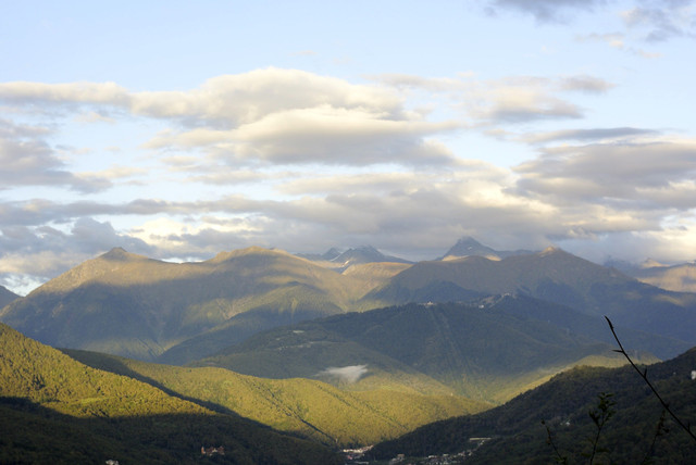 DSC7126.jpg