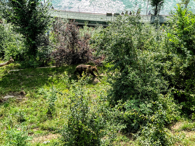 IMG-4698