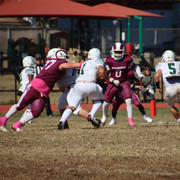 IMG-3127