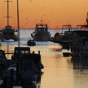 IMG-3653