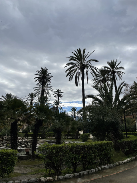 IMG-7906