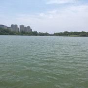 IMG20200717124703