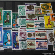 IMG-2448