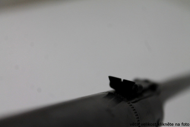 IMG-7962.jpg
