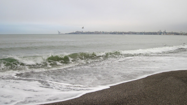 IMG-2365