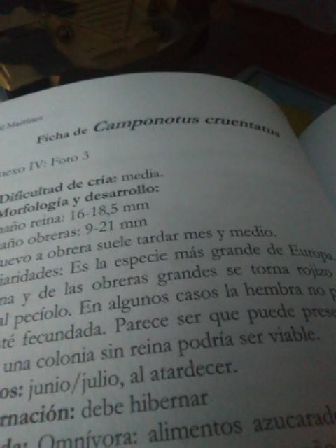 IMG 20180213 173809