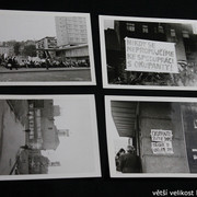 IMG-3754