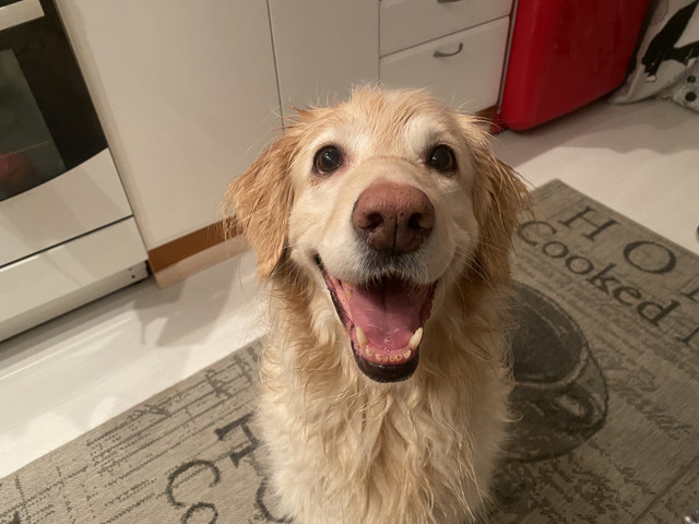 46-F8-E24-F-C74-E-457-C-A9-C1-357-EF2284