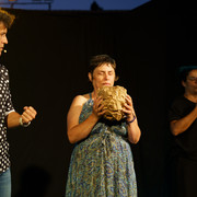 DSC8260
