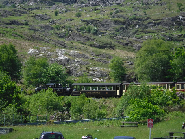 DSCF7901.jpg