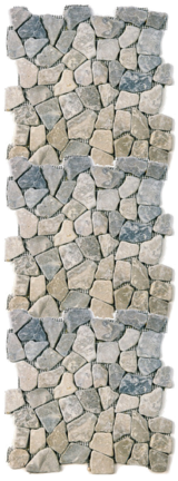 DvP600v.png