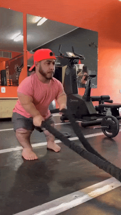 gif-20.gif