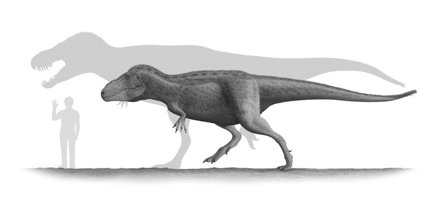 Tarbosaurus-Steveoc86