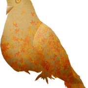 Bird2