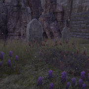 Screenshot-20210202-200750
