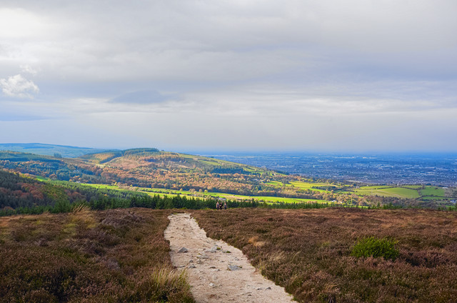 DSCF5449.jpg
