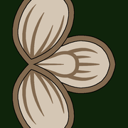 91