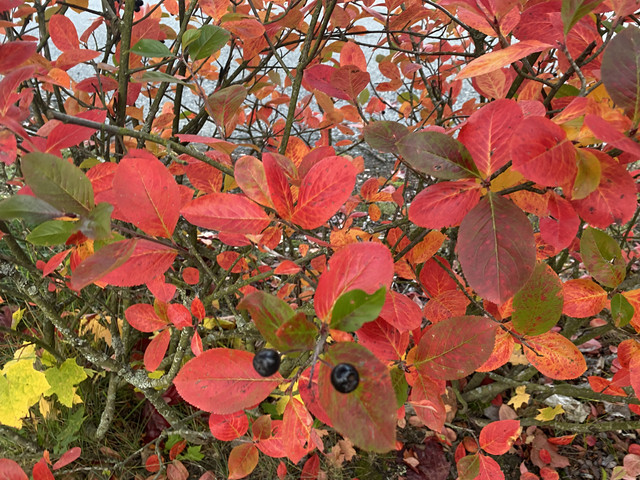 916612-EC-A601-4-FBC-A7-D0-6108-BC234-D2