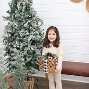 IMG-6582