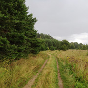 IMG-4043